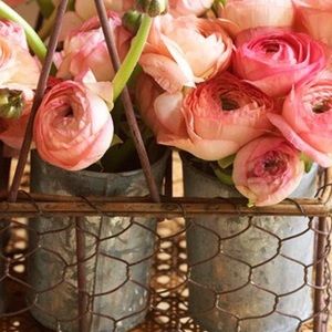 Meet your Posher, Mary